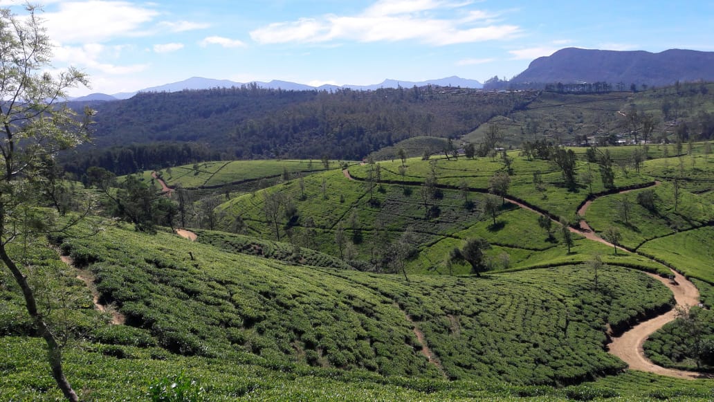 Fascinating Sri Lanka