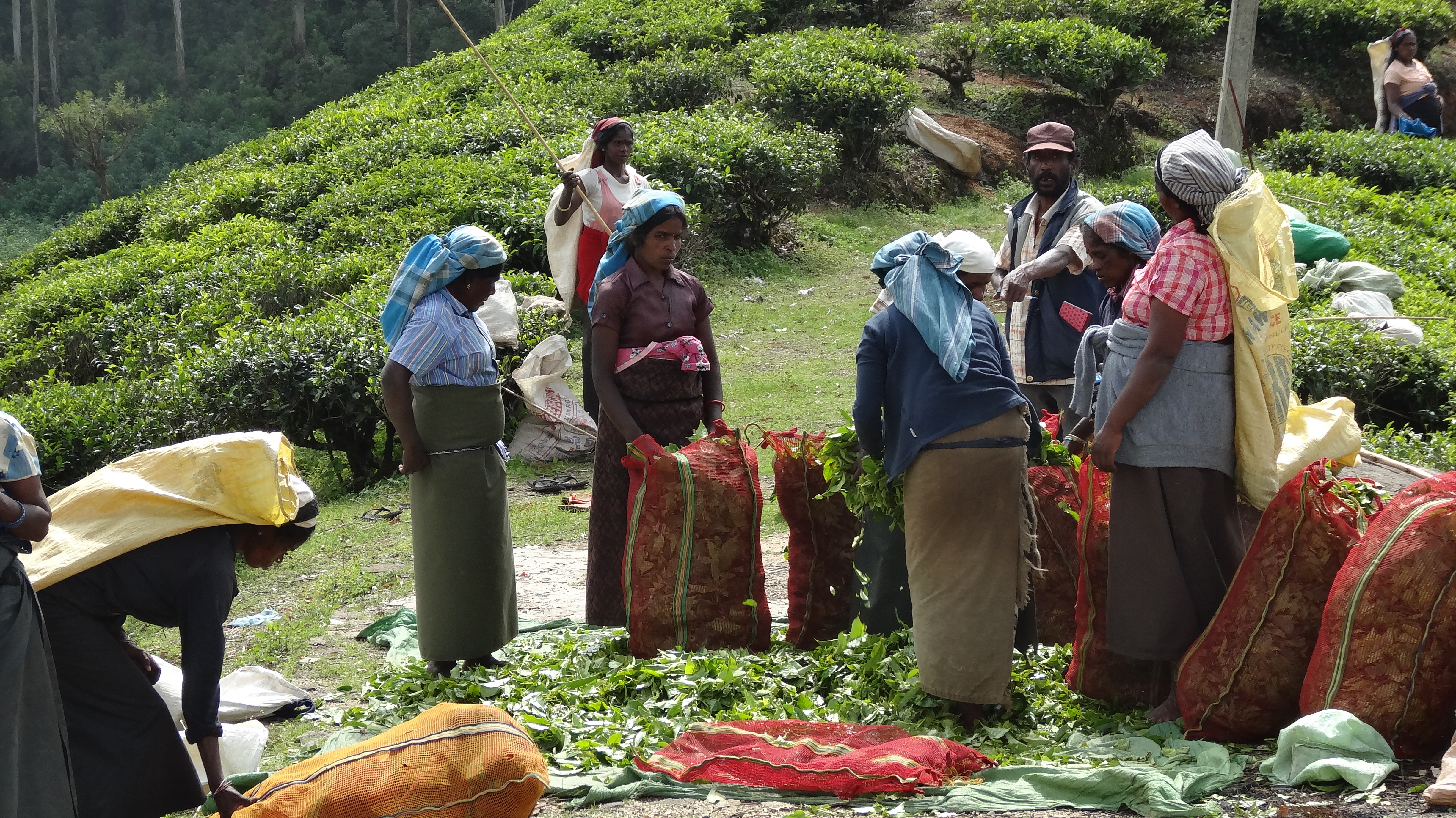 Cultural Gems & Highlands